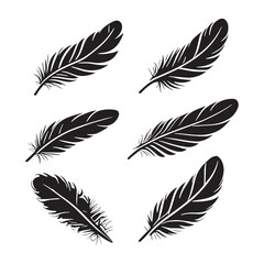 set of feathers vector
