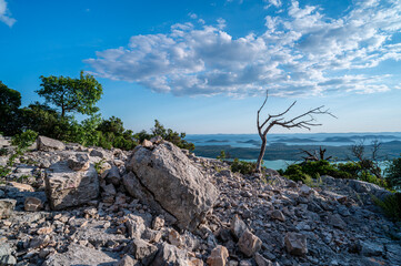 View from the mountain with barren tree to the blue Lake Vran -Croatia-Europe