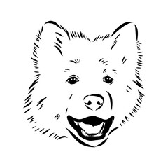 Illustration, outline. Thai bangkaew dog silhouette. sitting position from behind