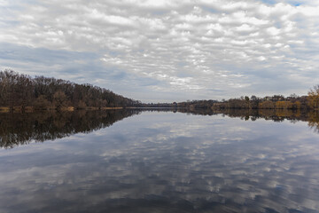 Fototapeta premium River in the forest. Reflection of trees in the water. Lake in the forest in winter