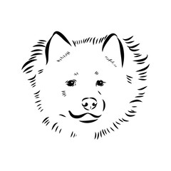 Illustration, outline. Thai bangkaew dog silhouette. sitting position from behind