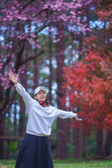 Fototapeta premium Pretty Asian woman relax in the park with maple trees covered with red leaves and a beautiful nature background with sakura flowers blooming happy enjoying a holiday in Chiang Mai, Thailand.