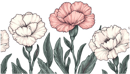 Vintage 1950s Carnation flowers, sketchy engraving style with dark green leaves, soft pink and white, retro decor, timeless floral design, classic elegance