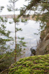 moss on the rocks against lake background