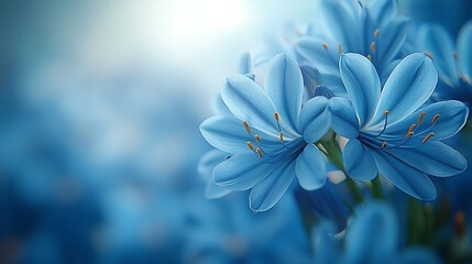 Obraz premium Blue flowers closeup, soft background, springtime, nature, greeting card