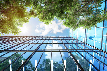 Modern style simple glass building exterior with tree and blue sky background 3d render