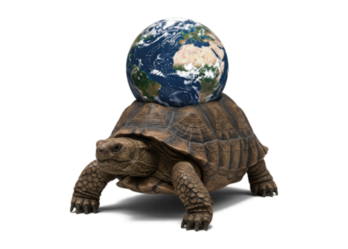 tortoise carrying earth