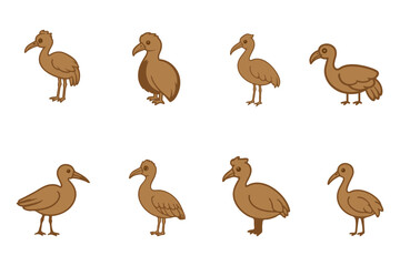 Dodo Bird Animal Illustration Design Set © Gifa_Art