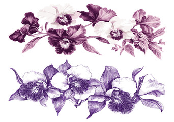 2090s Orchid in deep purple and white, adorned with intricate vintage engraving details, offering an elegant, classic touch that elevates the charm of any setting with its timeless artistic style.
