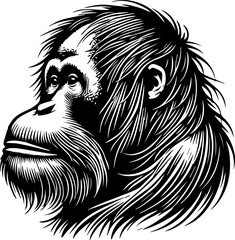 Orangutan icon  © MS