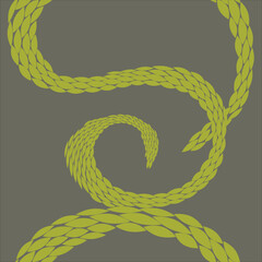 vector decorative texture of snake skin