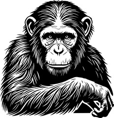 Ape icon 