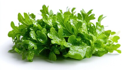 Fototapeta premium Fresh green arugula leaves on white background, healthy food ingredient