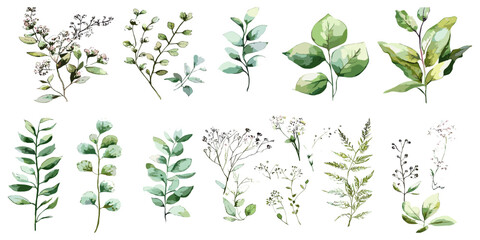 Large Watercolor Set of Flower Elements, Manual Composition with Detailed Illustrations for Artistic Designs