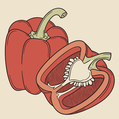 illustration of a pepper