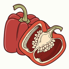 hand drawn illustration of an apple