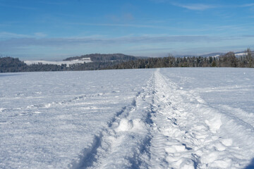 Spuren im Schnee