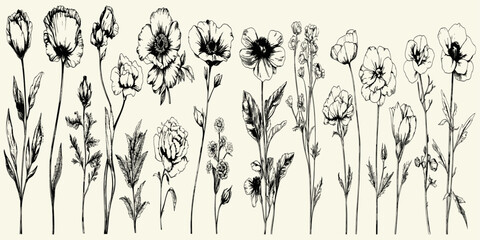 Vintage floral collection featuring detailed botanical flowers, ideal for luxurious wedding invitations, save the date cards, and stunning wallpaper art that adds an elegant touch to any space. © aura studio