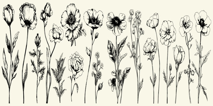 Vintage floral collection featuring detailed botanical flowers, ideal for luxurious wedding invitations, save the date cards, and stunning wallpaper art that adds an elegant touch to any space.