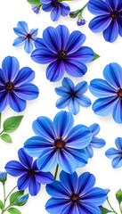 Set with different beautiful blue flowers on white background. Banner design, vibrant. isolated with white shades