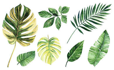 Watercolor Collection of Hand-Drawn Tropical Leaves, Ideal for Invitations, Cards, Home Decor, and Creative Design Projects