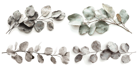 Vintage Style Dried Eucalyptus Leaves in Antique Monochrome, Faded Green Hues for Nature-Inspired Rustic Decor