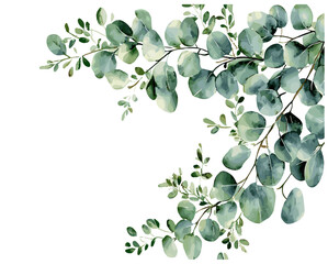 Hand drawn eucalyptus leaves border watercolor clipart for wedding invitation, greeting cards, stationery design, save the date, green herbs. © aura studio