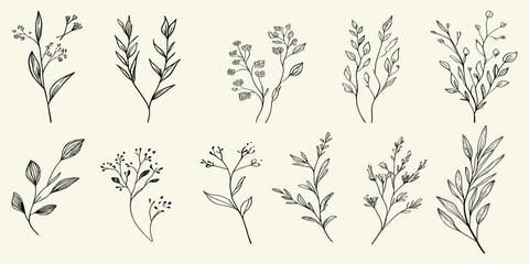 Hand drawn wedding herb, botanical rustic design with elegant leaves, floral branch, homeplant for save the date invitation card.