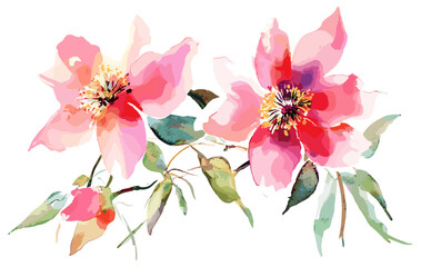 Obraz premium Watercolor flowers in a big set, with a focus on manual composition techniques, including detailed illustration elements that highlight artistry and the beauty of floral designs.