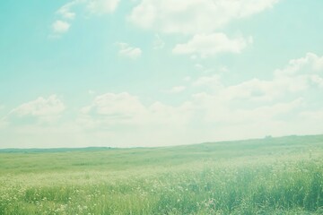 Fototapeta premium Serene Countryside Meadow Under a Pastel Sky