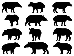 TAPIR SILHOUETTE ON WHITE BACKGROUND
