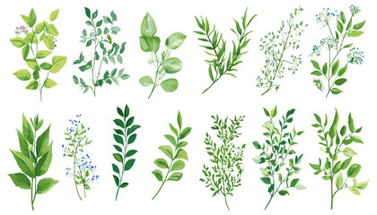 Wedding invitation with vintage botanical collection, green leaves, branches, foliage, and berry plants, exotic bouquet on a white background.