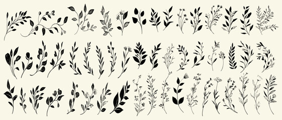 Vintage botanical background with hand-drawn medicinal herbs, flowers, weeds, and meadows in engraved style. Summer plants sketch template.