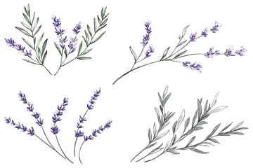 Lavender wedding monogram with hand-drawn branch and botanical greenery, featuring elegant rustic leaves, perfect for designing stylish and trendy wedding invitations or save the date cards.