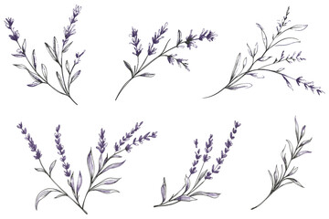 Wedding stationery design featuring a hand-drawn lavender logo and botanical rustic greenery, including a monogram with delicate leaves, ideal for save the date cards and elegant wedding invitations.
