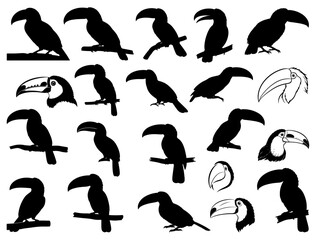 TOUCAN BIRD SILHOUETTE ON WHITE BACKGROUND