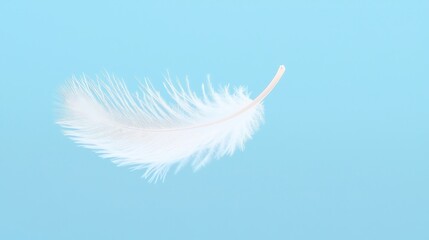 Feather in the Breeze, a delicate feather floats gracefully through the air, symbolizing freedom and the unpredictable nature of life's journey amidst an open sky.