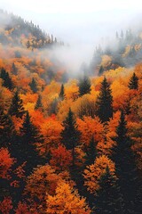 A breathtaking view of a dense forest during autumn, showcasing vibrant orange and yellow foliage amidst a soft fog, evoking a serene and tranquil atmosphere.
