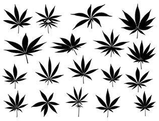 WEED LEAF SILHOUETTE ON WHITE BACKGROUND