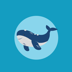Whale vector illustration on blue water background