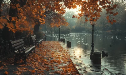 Fotobehang Autumn leaves blanket the tranquil lakeside walkway at dusk © uhdenis