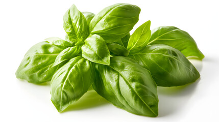 Fototapeta premium Basil paired with a refreshing cucumber salad, adding a burst of flavor and aromatic freshness.