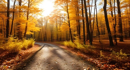 "Golden Autumn Forest with a Leaf-Covered Path | Warm Sunlight & Fall Foliage"