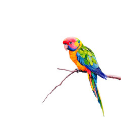 Fototapeta premium Vibrant Rainbow Lorikeet Bird on Branch Tropical Wildlife Painting Colorful Parrot Illustration Exotic Nature Art Vivid Feathers Bird Artwork Red Blue