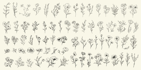 Fototapeta premium Wedding invitation art, botanical vector design, luxury floral collection, save the date card, different flowers, brunch, lined her, flat editable stroke