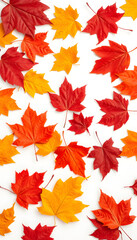 Obraz premium collection of colorful fallen autumn leaves on white background isolate, autumn leaves banner, origami. isolated with white shades