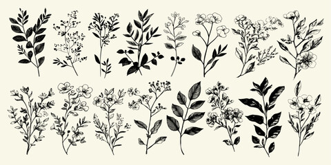 Detailed hand-drawn floral set, featuring leaves and branches, ideal for creating nature-inspired designs, prints, and artistic illustrations.