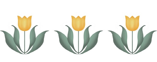 Isolations tulips,  Illustration border tulips  for holiday greeting card, invitation creating, creative work 