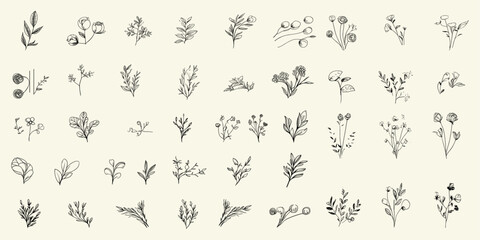 Trendy floral logo with hand-drawn wedding herbs, rustic greenery, and minimal feminine botanical design.