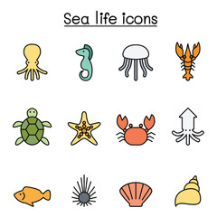 Sea life icon in thin line style icon set